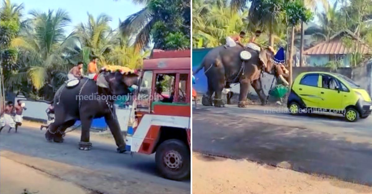 मंदिर में जुलूस के दौरान गुस्से में हाथी ने Tata Nano और लॉरी पर हमला किया [वीडियो]