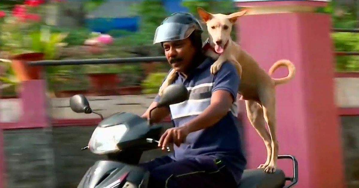 अपने मालिक के साथ स्कूटर पर यात्रा कर रहे कुत्ते का वीडियो वायरल