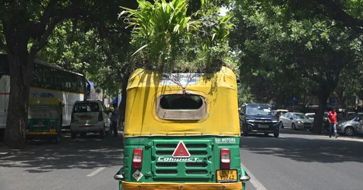 ऑटो चालक ने गर्मी को मात देने के लिए ऑटो-रिक्शा की छत पर बगीचा लगाया [वीडियो]